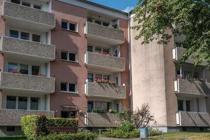 Wohnung Essen Freisenbruch - 2 Zimmer, 57 m&sup2;, 497&euro; | Angebot:26066476