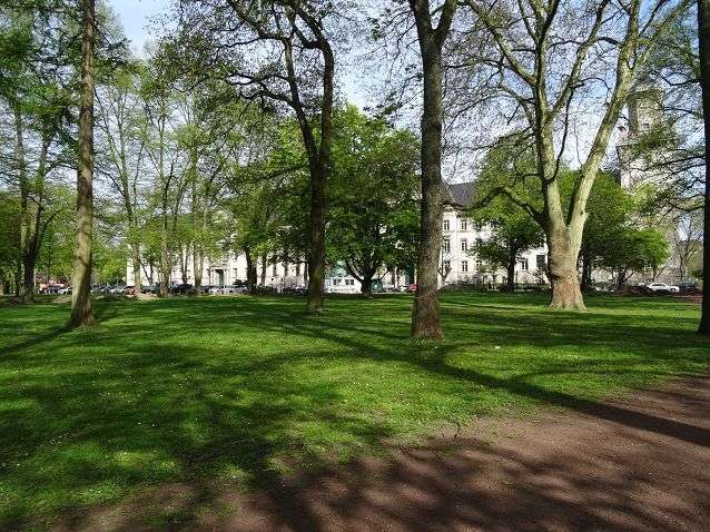 Etagenwohnung Krefeld - 1 Zimmer, 34 m&sup2;, 595&euro; | Angebot:24418655