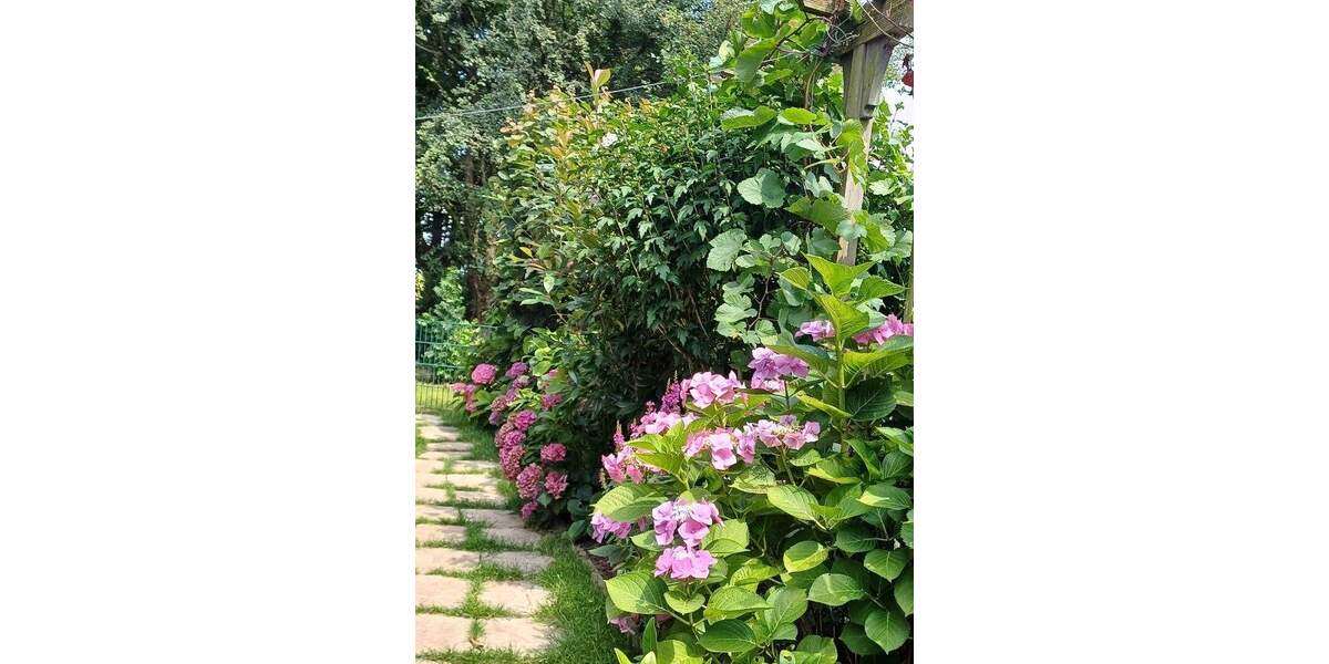 Etagenwohnung Rheinberg-Borth Borth - 3 Zimmer, 70 m&sup2;, 199.000&euro; | Angebot:25746768