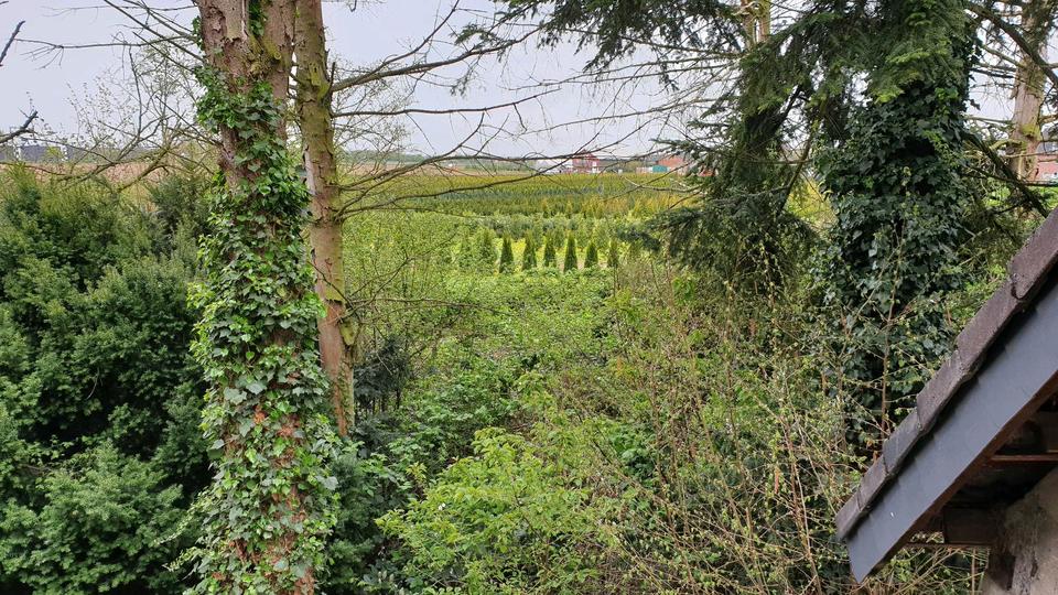 Einfamilienhaus Kaarst - 214.000&euro; | Angebot:24916890