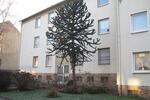 Erdgeschoßwohnung Essen Stadtbezirk VI - 2.5 Zimmer, 63 m&sup2;, 629&euro; | Angebot:26694869