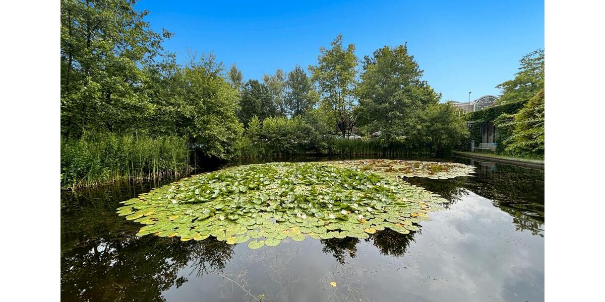 Gewerbeobjekt Essen Stadtbezirk II - 155&euro; | Angebot:22935386