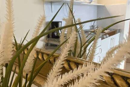 Wohnung Düsseldorf Pempelfort - 1 Zimmer, 27 m&sup2;, 850&euro; | Angebot:25819478