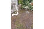 Bungalow Straelen - 1 Zimmer, 35 m&sup2;, 19.500&euro; | Angebot:26421212