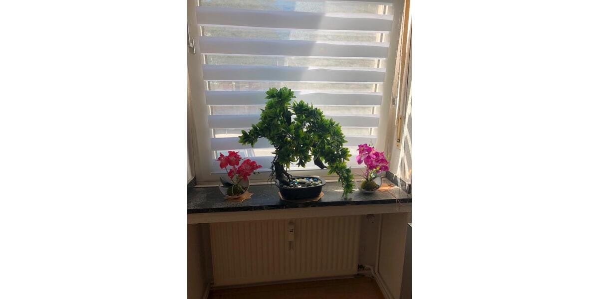 Erdgeschoßwohnung Düsseldorf Derendorf - 2 Zimmer, 45 m&sup2;, 198.000&euro; | Angebot:25943151