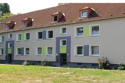 Wohnung Essen Stadtbezirk VI - 1.5 Zimmer, 36 m&sup2;, 479&euro; | Angebot:25881156