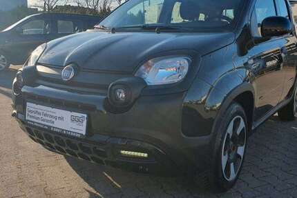 Fiat Panda 52.601 km 11.499 &euro; Essen 45326