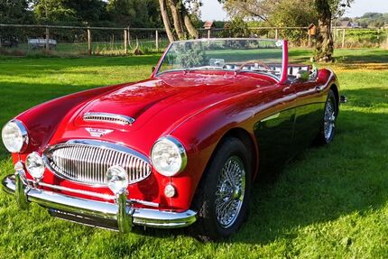 Austin Healey Andere 16.590 km 63.500 &euro; Kevelaer 47626