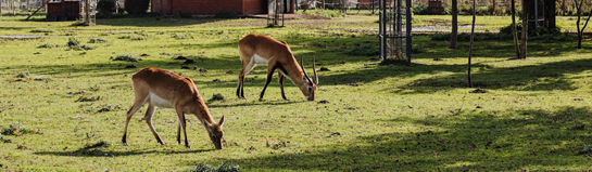 Zoo Duisburg Ruhrgebiet NRW Tiere Delfine Themenwelten Familie Moers