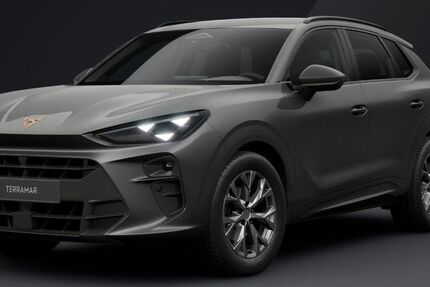 Cupra Terramar 1.800 km 37.990 &euro; Nettetal 41334