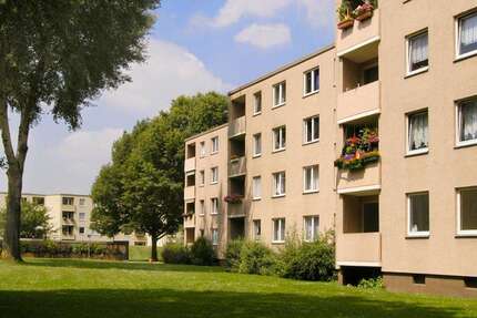 Wohnung Krefeld Gatherhof - 2 Zimmer, 48 m&sup2;, 472&euro; | Angebot:26729527