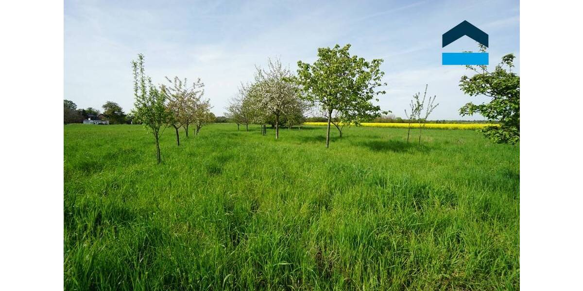 Mehrfamilienhaus, Wohnhaus Kamp-Lintfort Hoerstgen - 8 Zimmer, 360 m&sup2;, 790.000&euro; | Angebot:25746226