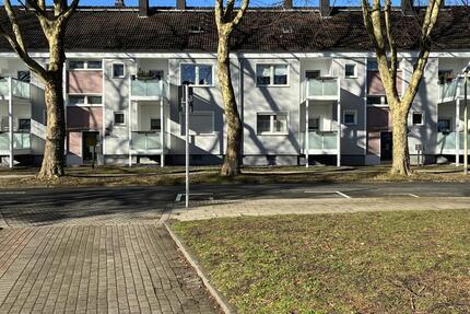 Wohnung Essen Stadtbezirk IV - 2.5 Zimmer, 47 m&sup2;, 511&euro; | Angebot:25845035