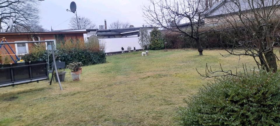 Etagenwohnung Duisburg Hamborn - 3 Zimmer, 58 m&sup2;, 60.000&euro; | Angebot:25172976