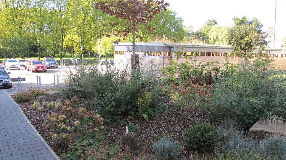 Terrassenwohnung Bottrop - 1 Zimmer, 37 m&sup2;, 480&euro; | Angebot:25962510