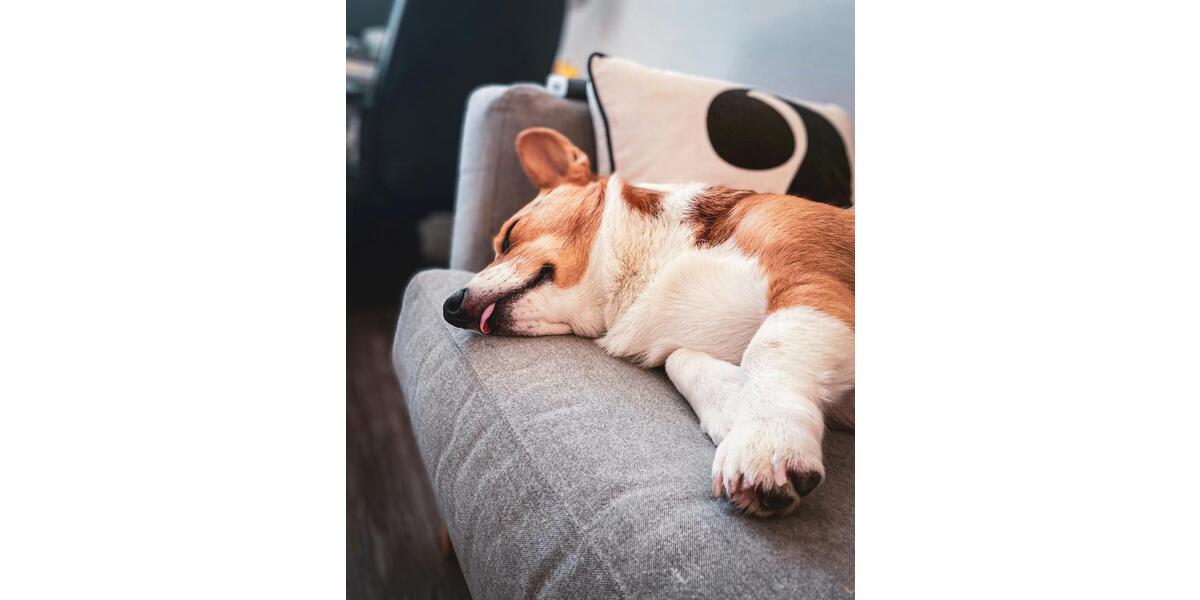 Einfamilienhaus Straelen - 5 Zimmer, 136 m&sup2;, 1.600&euro; | Angebot:24631086