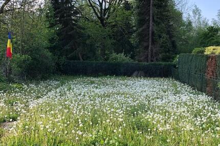 Haus Mönchengladbach Süd - 7 Zimmer, 590.000&euro; | Angebot:23178695