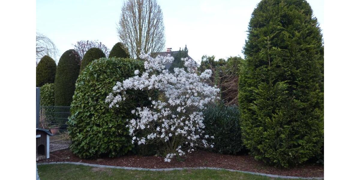 Terrassenwohnung Alpen - 3 Zimmer, 118 m&sup2;, 349.000&euro; | Angebot:25053115