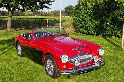 Austin Healey Andere 16.590 km 55.000 &euro; Kevelaer 47626