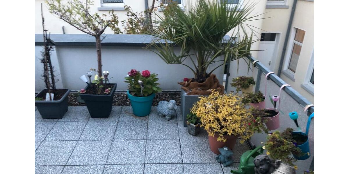 Etagenwohnung Krefeld - 2 Zimmer, 51 m&sup2;, 450&euro; | Angebot:25869922