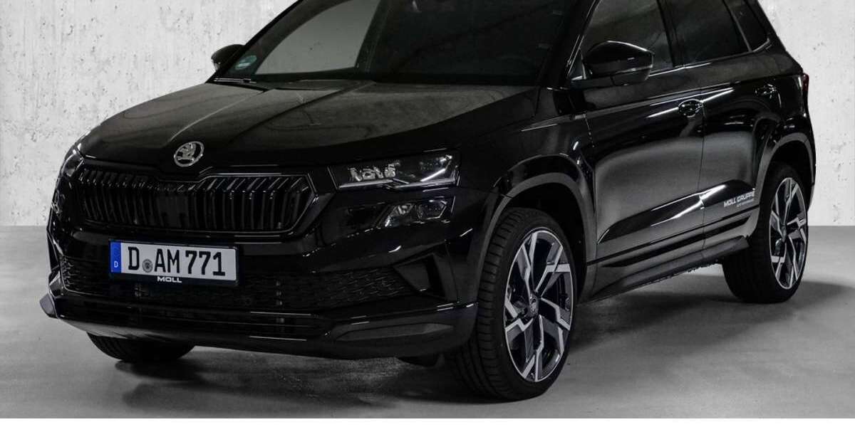 Skoda Karoq 9.000 km 32.980 &euro; Düsseldorf 40474