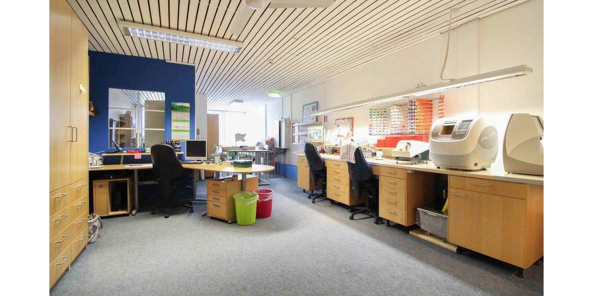 Gewerbeobjekt Moers Moers-Mitte - 170.000&euro; | Angebot:26043654