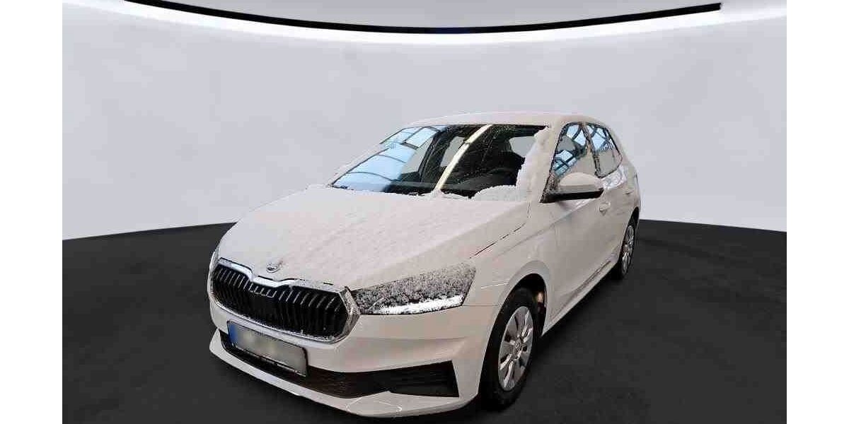 Skoda Fabia 24.405 km 15.980 &euro; Heiligenhaus 42579