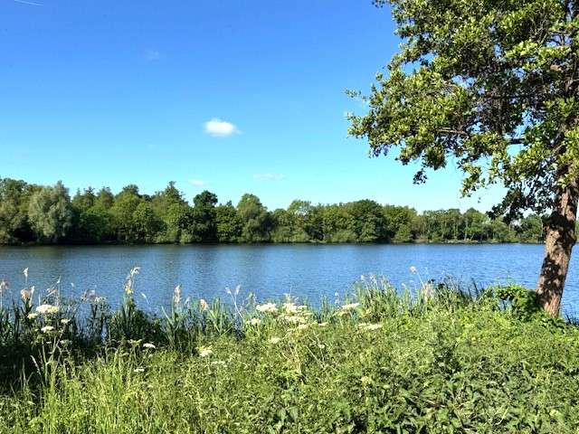 Einfamilienhaus Nettetal - 4 Zimmer, 145 m&sup2;, 398.000&euro; | Angebot:21105487