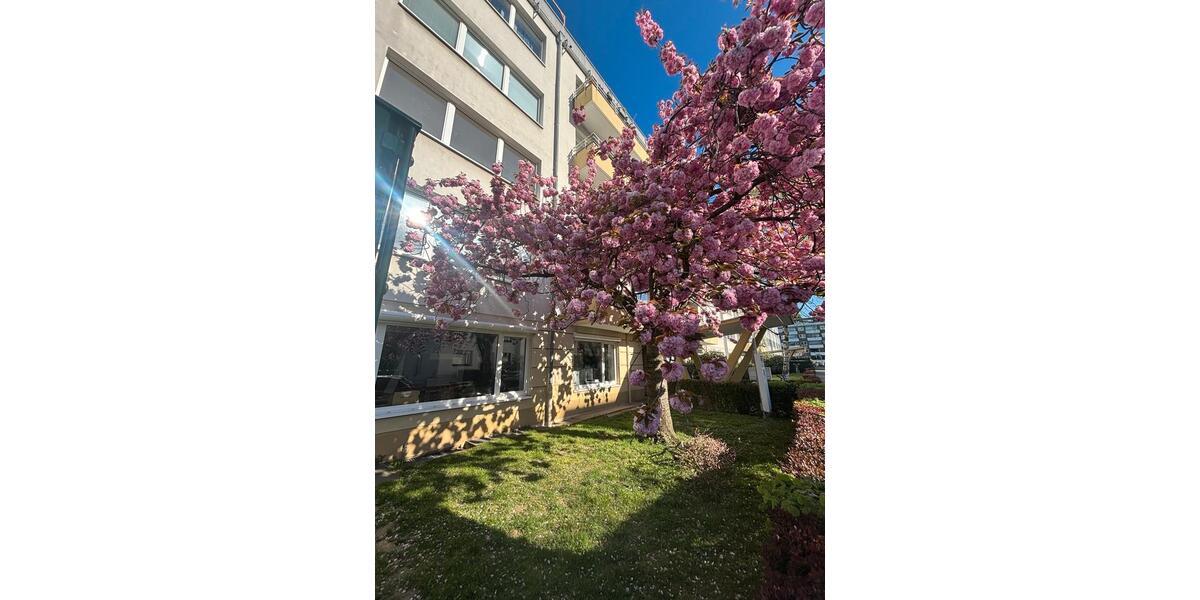 Gewerbeobjekt Düsseldorf Pempelfort - 1.200&euro; | Angebot:26348298