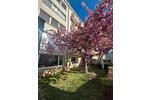 Gewerbeobjekt Düsseldorf Pempelfort - 1.200&euro; | Angebot:26348298