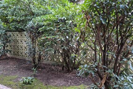 Wohnung Meerbusch Kierst - 1 Zimmer, 40 m&sup2;, 710&euro; | Angebot:25654683