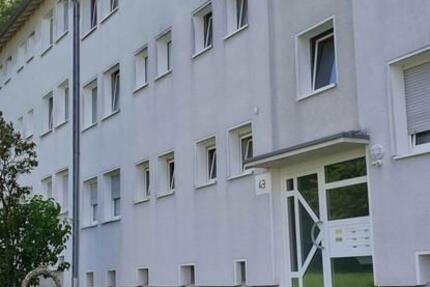 Wohnung Essen Stadtbezirk VI - 3 Zimmer, 61 m&sup2;, 599&euro; | Angebot:26694983