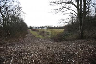 PERFEKT FÜR SOLAR & WINDPARK - Grundstück Duisburg Ruhrort | Angebot:25412625