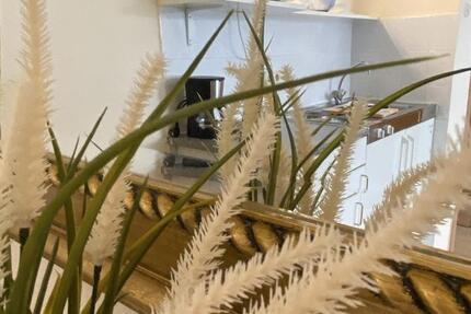 Wohnung Düsseldorf Pempelfort - 1 Zimmer, 27 m&sup2;, 850&euro; | Angebot:26033914