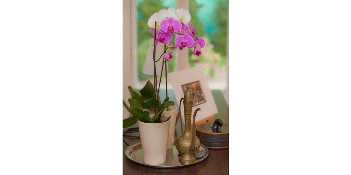 Etagenwohnung Krefeld Inrath/Kliedbruch - 3 Zimmer, 111 m&sup2;, 470.000&euro; | Angebot:25701233