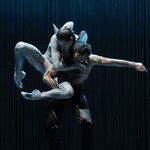 Schwanensee. Rotbarts Geschichte