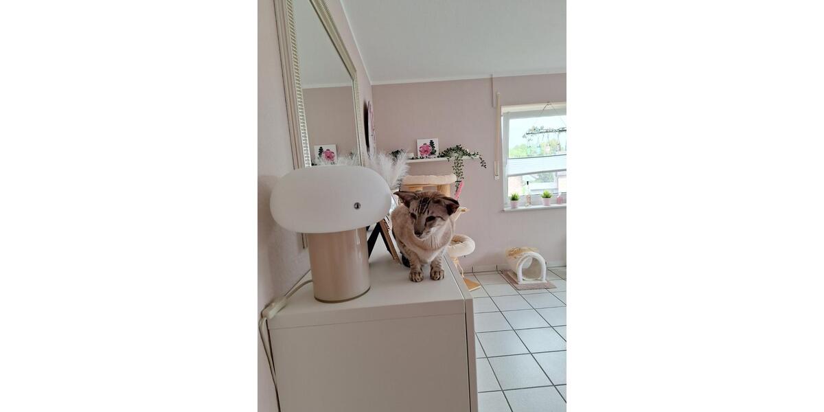 Etagenwohnung Moers Schwafheim - 3 Zimmer, 88 m&sup2;, 880&euro; | Angebot:25270781