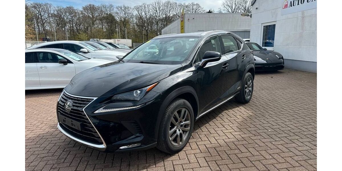 Lexus NX 300 165.831 km 23.681 &euro; Wesel 46485