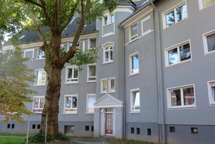 Wohnung Essen Stadtbezirk III - 2.5 Zimmer, 55 m&sup2;, 520&euro; | Angebot:24757751