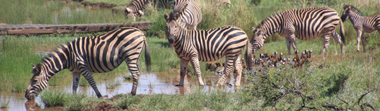 Zoo Krefeld NRW Niederrhein Tiere Natur Familie Moers