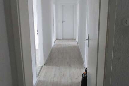 Wohnung Essen Altendorf - 1 Zimmer, 23 m&sup2;, 290&euro; | Angebot:24753820